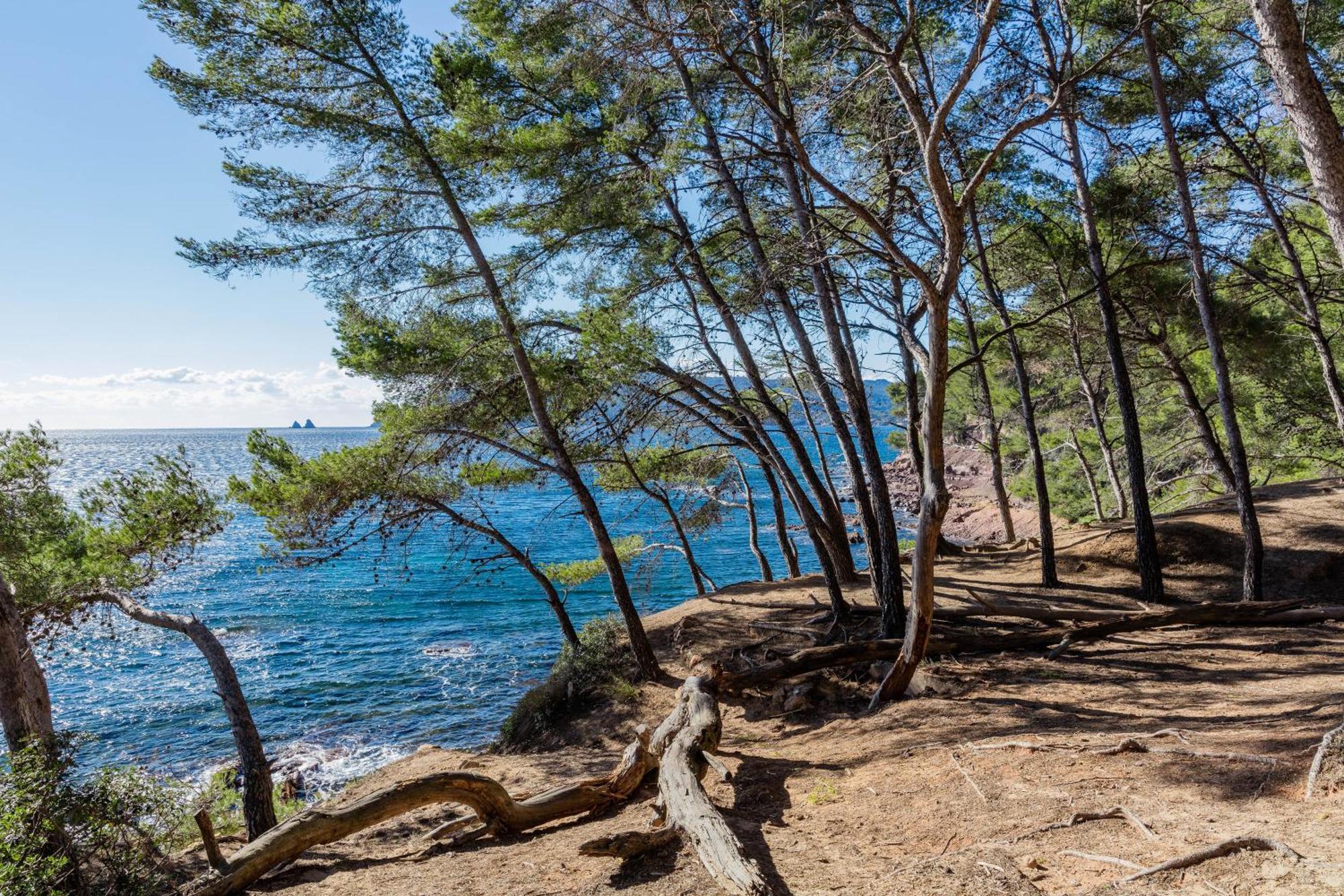 Superbe Studio Avec Terrasse Proximite Plage Saint-Mandrier-sur-Mer Kültér fotó